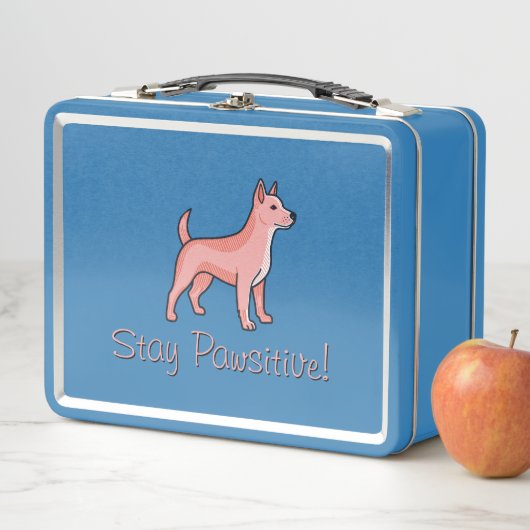 Lunch Box Stay pawsitive Dog (En situation)