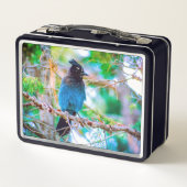 Lunch Box Steller's Jay - Photographie originale (Dos)