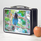 Lunch Box Steller's Jay - Photographie originale (En situation)
