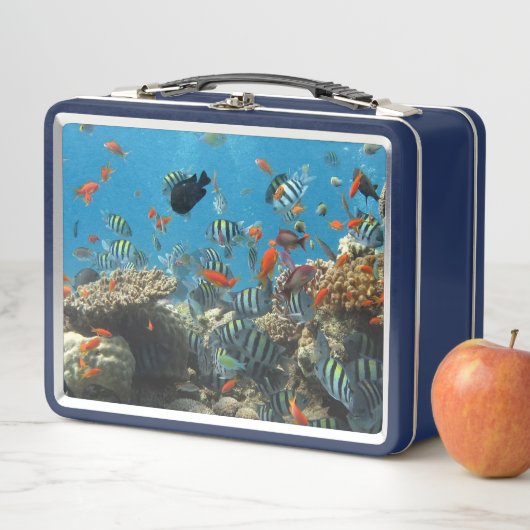 Lunch Box Stripey Poisson Tropical Coral Chaos (En situation)
