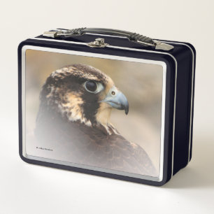 Lunch Box Superbe profil Vigné d'un faucon pèlerin