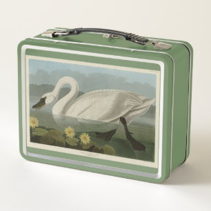 Lunch Box Swan commun américain - Les oiseaux d'Amérique d'A