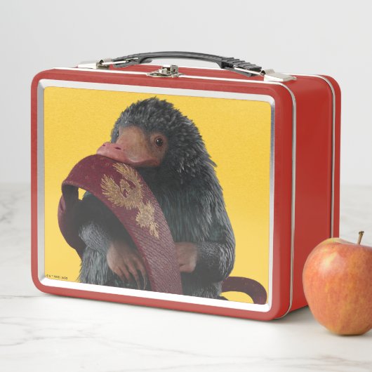 Lunch Box Teddy Avec Cravate Graphique (En situation)