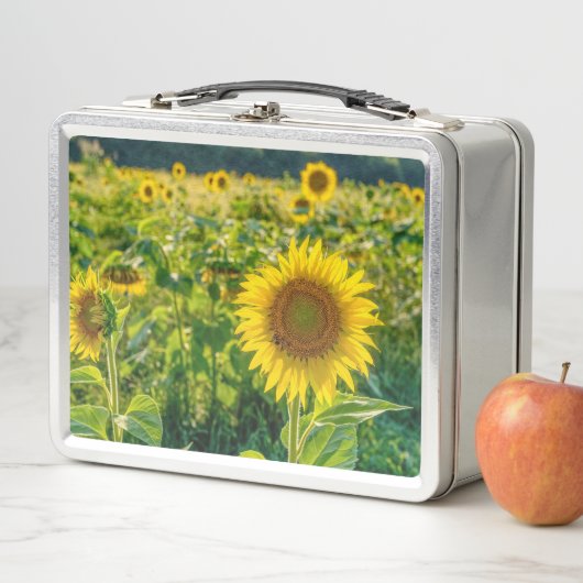 Lunch Box Terrain de tournesol doré (En situation)
