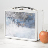 LUNCH BOX TERRITOIRE DU LOUP HIVER (En situation)