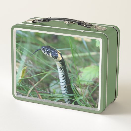 Lunch Box Tête de serpent (Dos)