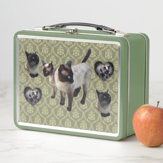Lunch Box Thailand-born Siamese cat (En situation)