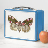 Lunch Box Thyatira batis - La teigne de fleur de la peau (En situation)