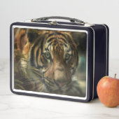 LUNCH BOX TIGER GROUPE ZÉRO (En situation)