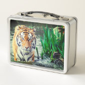 Lunch Box Tigre (Dos)