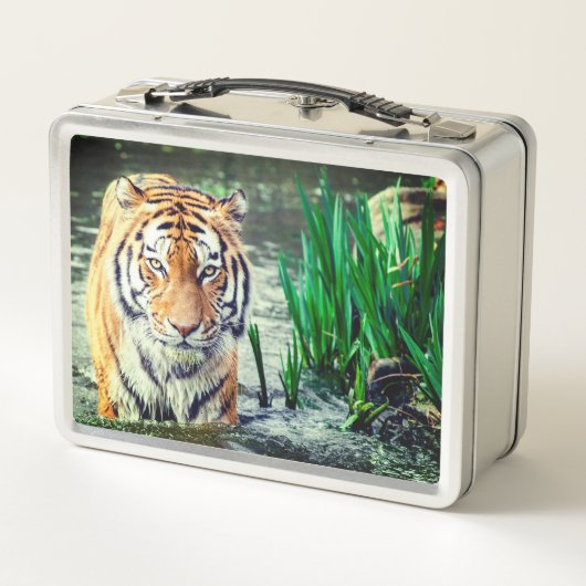 Lunch Box Tigre (Dos)