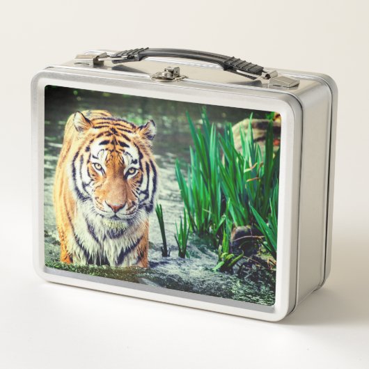 Lunch Box Tigre (Devant)