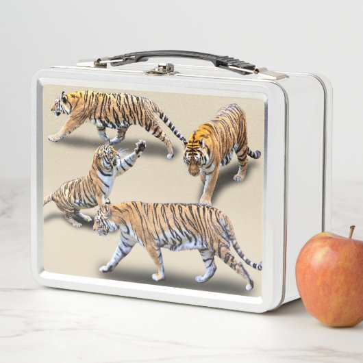 LUNCH BOX TIGRES (En situation)