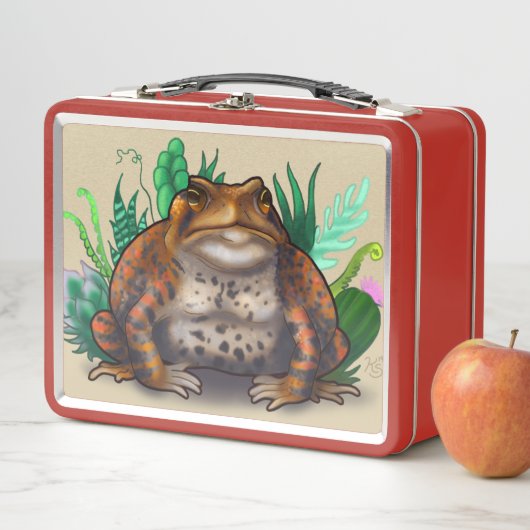 Lunch Box Toad succulent (En situation)