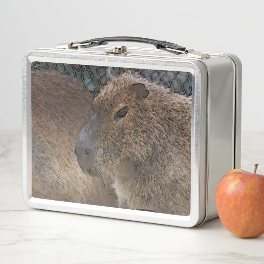 Lunch Box toony capibarah (En situation)