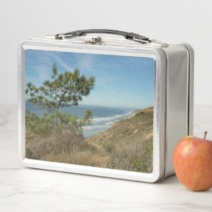 Lunch Box Torrey Pine and California Coastline Landscape