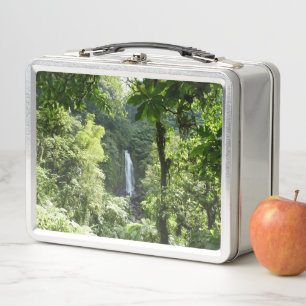 Lunch Box Trafalgar Falls Tropical Rainforest Photographie