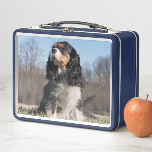 Lunch Box Tri Couleur Cavalier King Charles Spaniel (En situation)