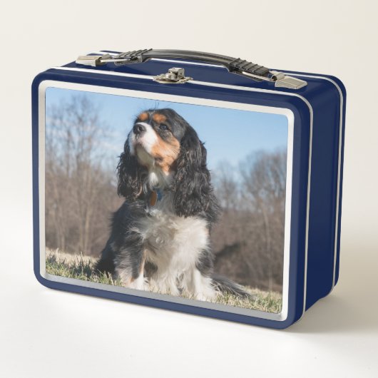 Lunch Box Tri Couleur Cavalier King Charles Spaniel (Devant)
