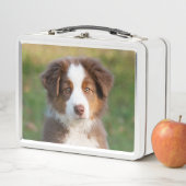 Lunch Box Tri photo australienne rouge mignonne de chiot de (En situation)