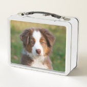 Lunch Box Tri photo australienne rouge mignonne de chiot de (Dos)