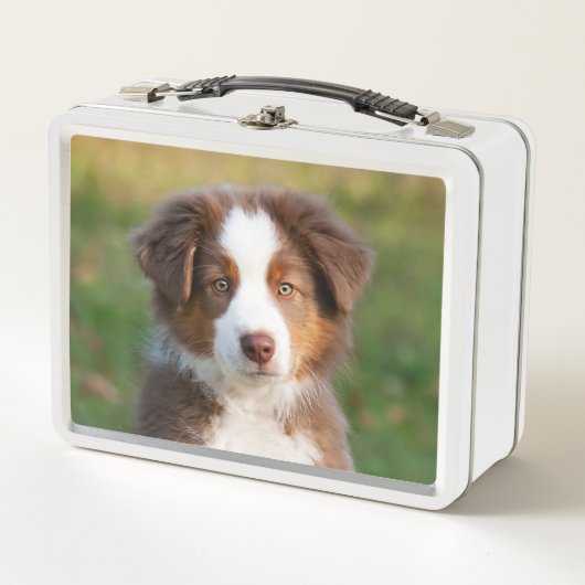 Lunch Box Tri photo australienne rouge mignonne de chiot de (Devant)