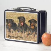 Lunch Box Trois chiens Rottweiler - Pack de Rotties (En situation)