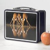 Lunch Box Trois impalas boivent ensemble la nuit (En situation)
