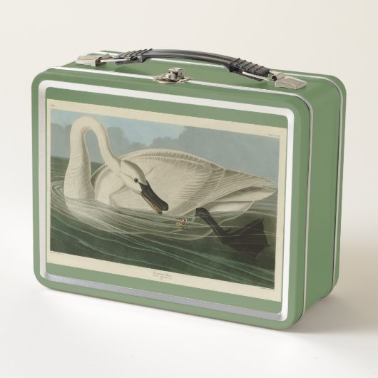Lunch Box Trumpeter Swan (Devant)