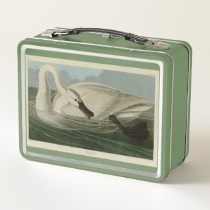 Lunch Box Trumpeter Swan