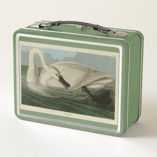 Lunch Box Trumpeter Swan (Dos)