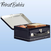 Lunch Box Unique Baby Panda Ours Enfants Animal Cartoon Grap