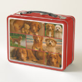 Lunch Box Unique personalized custom collage photo template (Dos)