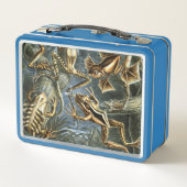Lunch Box Variété d'Ernst Haeckel de grenouilles exotiques : (Dos)