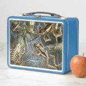 Lunch Box Variété d'Ernst Haeckel de grenouilles exotiques : (En situation)