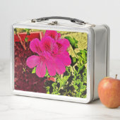 Lunch Box Vibrant pink blooming flower in the garden (En situation)