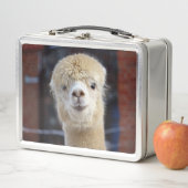 Lunch Box Visage d'alpaca mignon          (En situation)