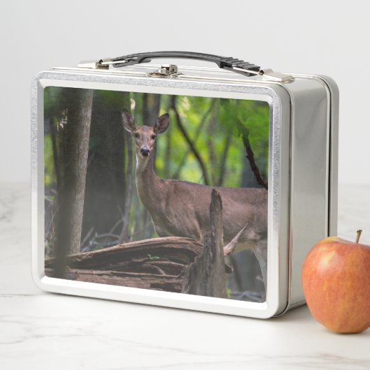 Lunch Box Vous Récupérer (En situation)