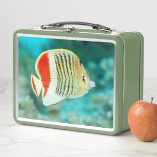 Lunch Box Vue pittoresque du poisson sous l'eau de la mer Ro