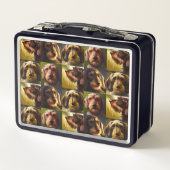Lunch Box Wirehair Dachshund (Dos)
