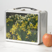 Lunch Box Yellow and White Daffodils Spring Flowers (En situation)