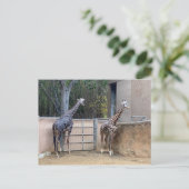 Lunch Time Briefkaart (Staand voorkant)