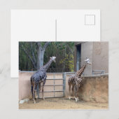 Lunch Time Briefkaart (Voorkant / Achterkant)