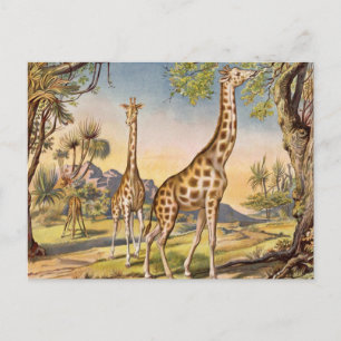 Lunch voor een Giraffe Briefkaart