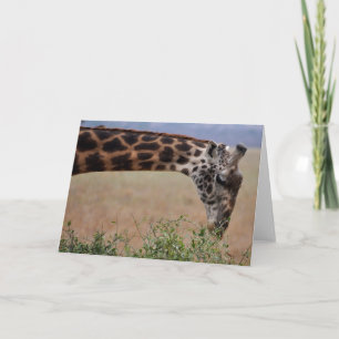 Lunch voor één kaart