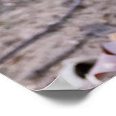 "Lunch with a Friend" Vrouw Squirrel Poster (Hoek)