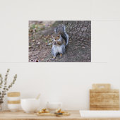 "Lunch with a Friend" Vrouw Squirrel Poster (Keuken)
