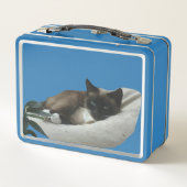 Lunchbox de chats de Siamese (Dos)