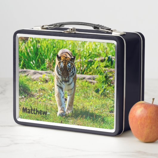 Lunchbox en métal Tiger Amur (En situation)