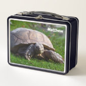 Lunchbox en métal tortue (Devant)